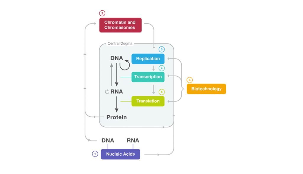 Biochemistry Graphic