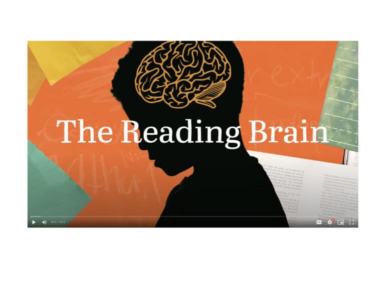 Reading Brain animation